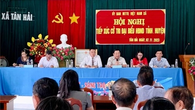 Đại biểu HĐND tỉnh tiếp xúc cử tri xã Tân Hải