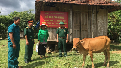ដំណោះស្រាយលើយន្តការជាក់លាក់មួយចំនួន ដើម្បីអនុវត្តកម្មវិធីគោលដៅជាតិ
