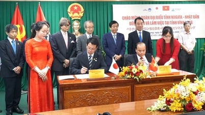 Lãnh đạo tỉnh Niigata đến thăm, làm việc với lãnh đạo tỉnh Vĩnh Long