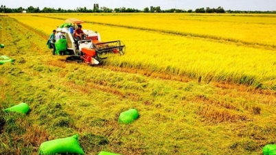 នៅឆ្នាំ 2025 វិស័យកសិកម្មត្រូវបានគេរំពឹងថានឹងកើនឡើងពី 3.3 ទៅ 3.4%