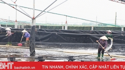 Bảo vệ tôm trước tiết giao mùa, chuẩn bị thả nuôi vụ mới