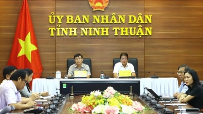 Konferensi nasional untuk meninjau upaya pencegahan dan pengendalian COVID-19