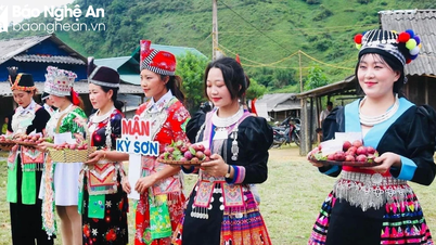 រដូវផ្លែព្រូនដ៏ទាក់ទាញនៅ “ច្រកទ្វារឋានសួគ៌” នៃខេត្ត Nghe An