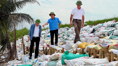Hải Dương chủ động xử lý sự cố đê điều