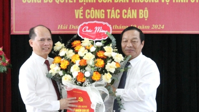 សមមិត្ត Tran Van Son កាន់តំណែងជាអនុប្រធានគណៈកម្មាធិការកិច្ចការផ្ទៃក្នុងនៃគណៈកម្មាធិការបក្សខេត្ត Hai Duong។