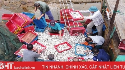តាម​ការ​ប៉ាន់​ស្មាន​ថា ទិន្នផល​ផលិត​ផល​ជលផល​ក្នុង​រយៈ​ពេល ៩ ខែ​សម្រេច​បាន ៣២ ៣២៧ តោន