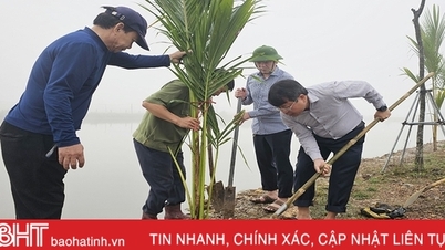 TP Hà Tĩnh trồng gần 5.000 cây dừa ở vùng sinh thái Đồng Ghè