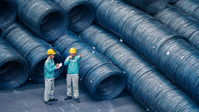 ក្រុមហ៊ុន Hoa Phat Hai Duong Steel Joint Stock Company រួមចំណែកច្រើនបំផុតទីពីរដល់ថវិកានៅក្នុងក្រុមហ៊ុន Hoa Phat Group ។