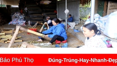 Trên 10 tỷ đồng đầu tư cho nhiệm vụ khoa học