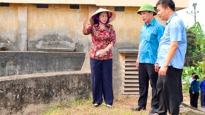 Ninh Giang needs to continue to resolutely handle violations of irrigation works.
