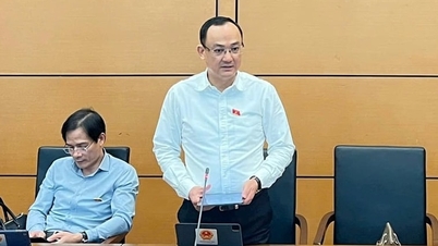 Delegierter Nguyen Ngoc Son (Hai Duong) schlug vor, die Schwierigkeiten und Einschränkungen bei der Änderung des Gesetzes zu klären.