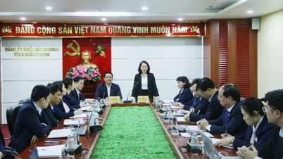 អនុលេខាគណៈកម្មាធិការបក្សខេត្ត Trinh Thi Minh Thanh បានចូលរួមកិច្ចប្រជុំក្រឡាបក្សនៃគណៈកម្មាធិការបក្សខេត្ត នៃប្លុកខេត្ត។