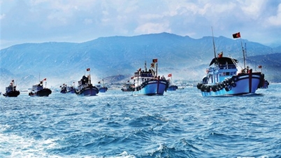 Thuan Nam aims to develop sustainable fisheries