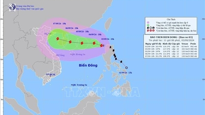 ຕອບ​ໂຕ້​ລົມ​ໄຕ້​ຝຸ່ນ Yagi ຢູ່​ທະ​ເລ​ຕາ​ເວັນ​ອອກ