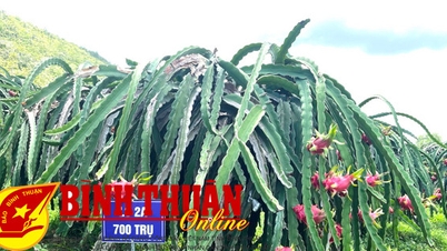 Ngành nông nghiệp có tốc độ tăng trưởng cao nhất trong thời gian qua