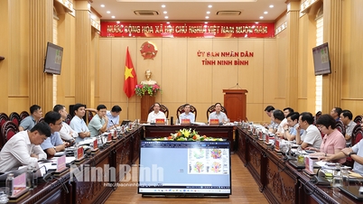 Konferensi tersebut mendengarkan laporan tentang Proyek Perencanaan untuk Pelestarian, Pemugaran, dan Rehabilitasi Monumen Nasional Khusus Ibu Kota Kuno Hoa Lu.