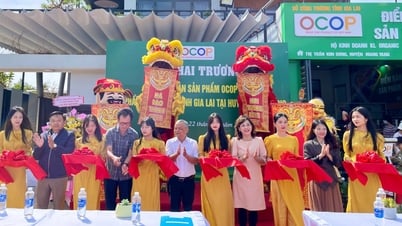 Khai trương điểm bán sản phẩm OCOP tại Mang Yang