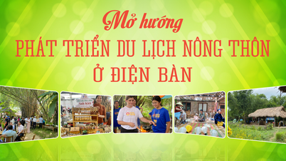 Mở hướng phát triển du lịch nông thôn ở Điện Bàn