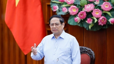 Thủ tướng chủ trì họp Thường trực Chính phủ về xây dựng pháp luật