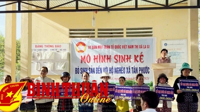 Giving breeding cows to poor families in Tan Phuoc commune