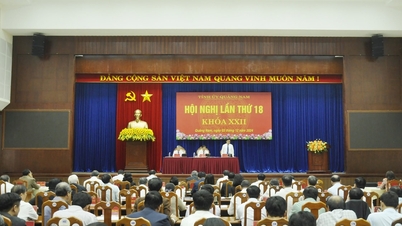 In 2024, Quang Nam will discipline 12 party organizations and 346 party members.