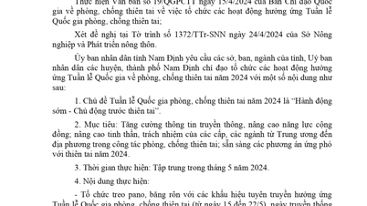 OFFICIAL DISPATCH NO. 418/UBND-VP3 OF NAM DINH PROVINCE PEOPLE'S COMMITTEE