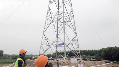 Đảm bảo an toàn thi công Dự án đường dây 500kV mạch 3