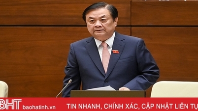 Bảo đảm nguồn cung lương thực trong nước và gia tăng xuất khẩu