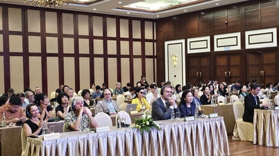 Le cinéma français et ses relations avec le cinéma vietnamien