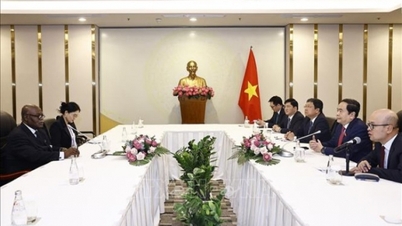 Chủ tịch Quốc hội Trần Thanh Mẫn tiếp Chủ tịch Liên minh Nghị viện Pháp ngữ