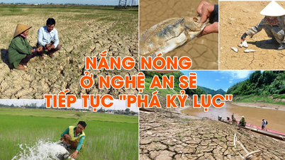 ការព្យាករណ៍អាកាសធាតុខ្លាំងនៅទីក្រុង Nghe An ក្នុងឆ្នាំ 2024