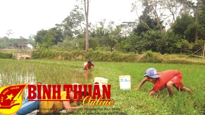 អនុស្សាវរីយ៍ជនបទ
