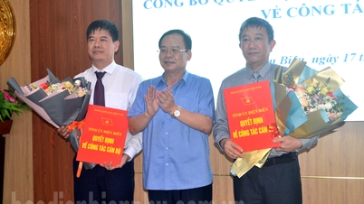 Mobilizing and rotating cadres to Dien Bien District Party Committee