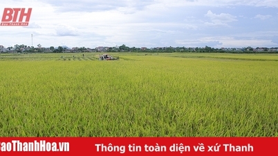 Impressive agricultural growth