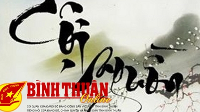 Hướng về cội nguồn