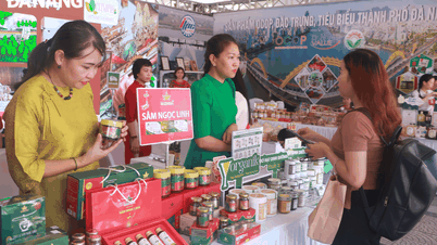 បង្កើតឱកាសទំនាក់ទំនងអាជីវកម្ម