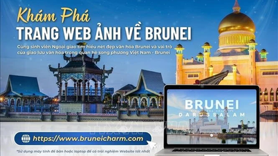 វៀតណាមគាំទ្រប្រ៊ុយណេក្នុងការលើកកំពស់មុខមាត់ប្រទេស និងប្រជាជន