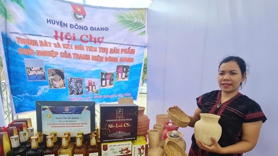 Đa dạng sản phẩm khởi nghiệp của thanh niên miền núi Quảng Nam