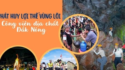 ការលើកកម្ពស់គុណសម្បត្តិតំបន់ស្នូលនៃឧទ្យានភូមិសាស្ត្រ Dak Nong