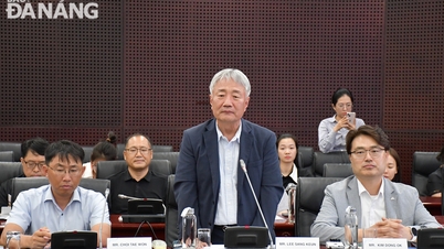 Promoting Korean investment in Da Nang