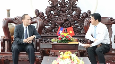 Provincial People's Committee leaders received the Consul General of the Lao People's Democratic Republic in Ho Chi Minh City