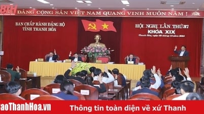 Hội nghị Ban Chấp hành Đảng bộ tỉnh lần thứ 37: Đánh giá tình hình kinh tế - xã hội, bảo đảm quốc phòng