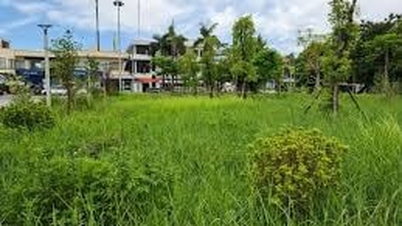 Công viên bỏ hoang