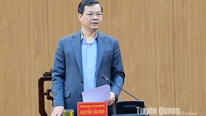 Vorsitzender des Volkskomitees der Provinz, Nguyen Van Son: Nach der Fusion muss der Apparat reibungslos, ohne Probleme oder Unterbrechungen funktionieren.