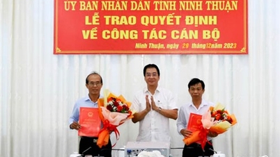 Provincial People's Committee issues decision on personnel work