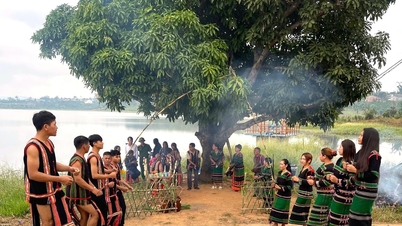 ភាពស្រស់ស្អាតនៃពិធីសក្ការៈបូជានៅកំពង់ផែទឹកជនជាតិ M'nong នៅ Dak Nong