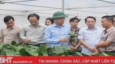 ផ្តោតលើការអនុវត្តបច្ចេកវិទ្យាខ្ពស់ក្នុងផលិតកម្មកសិកម្ម ការកែលម្អផលិតផល OCOP