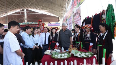 សកម្មភាពរំភើបជាច្រើននៅពិធីបុណ្យវប្បធម៌របស់ជនជាតិនៅឃុំ Thien Ke