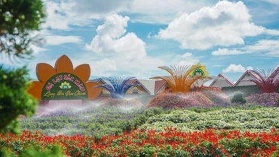 Top 3 flower villages not to be missed when coming to Da Lat