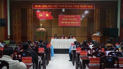 Nam Tra My completed 25/29 targets set in the resolution for 2024